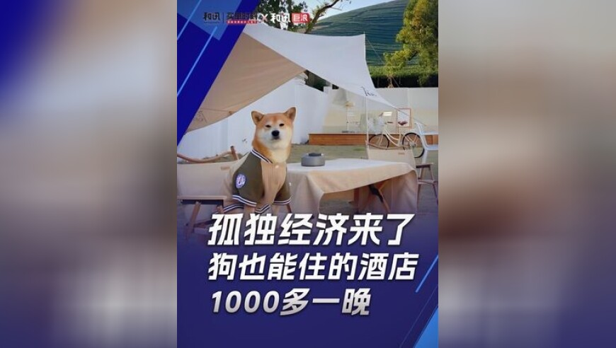 轻松拿捏多才多艺,澳门彩开奖结果记录历史,国产化作答解释落实_权威版V14.69